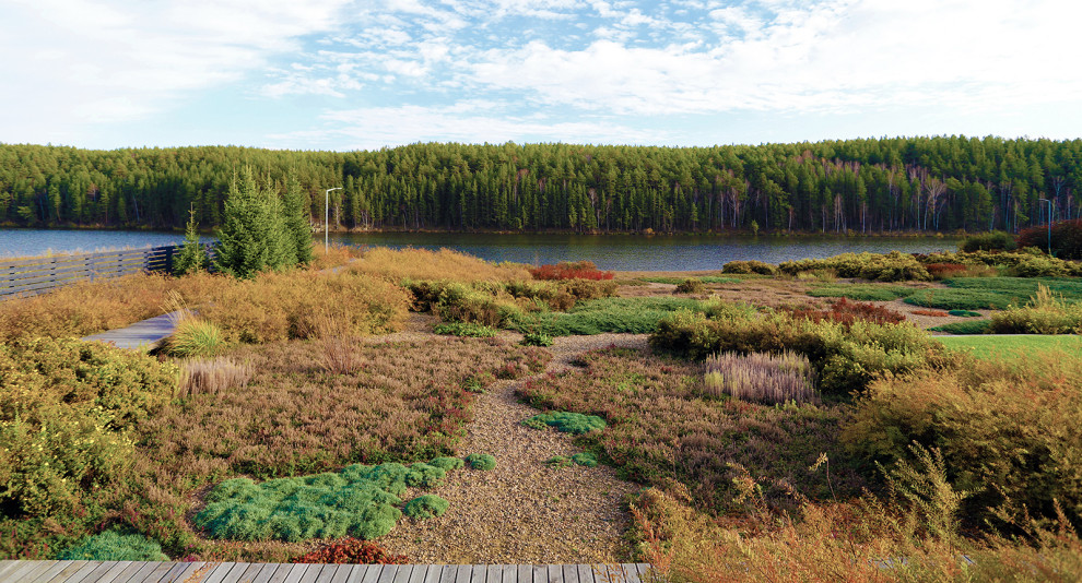 Полынный берег. Новые снимки