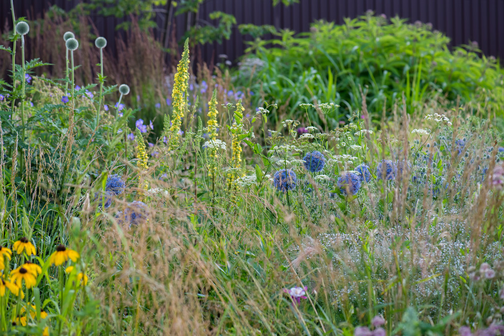 Цветник в  природном стиле  (" New Perennials"  или "Новая волна")
