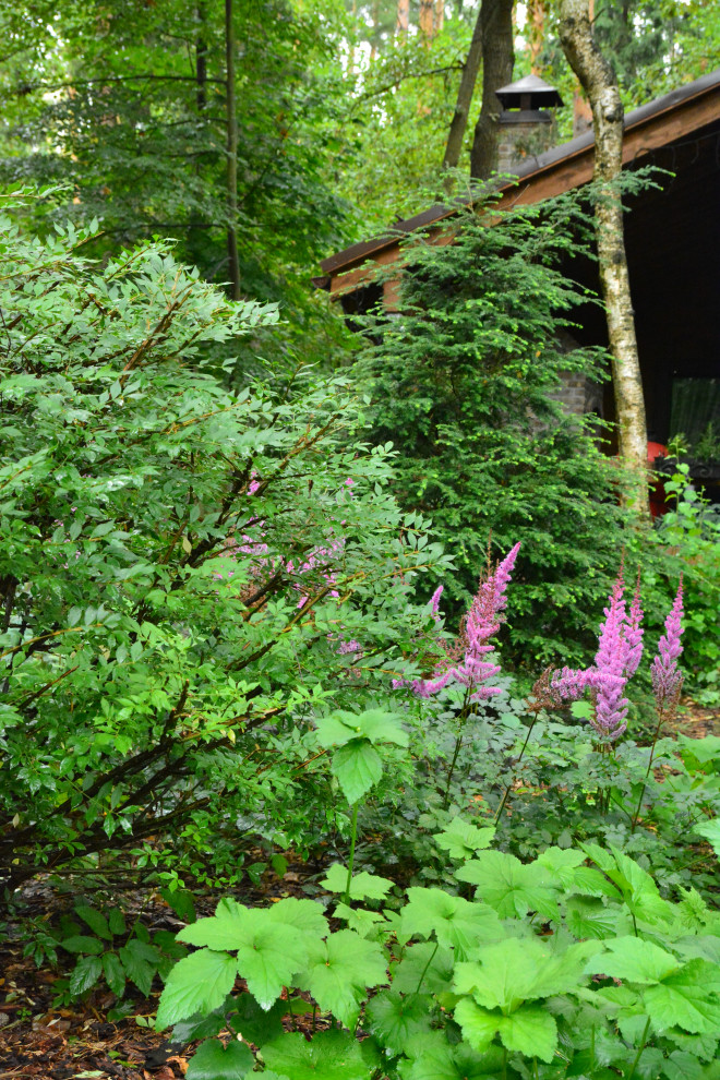 Заповедный бор