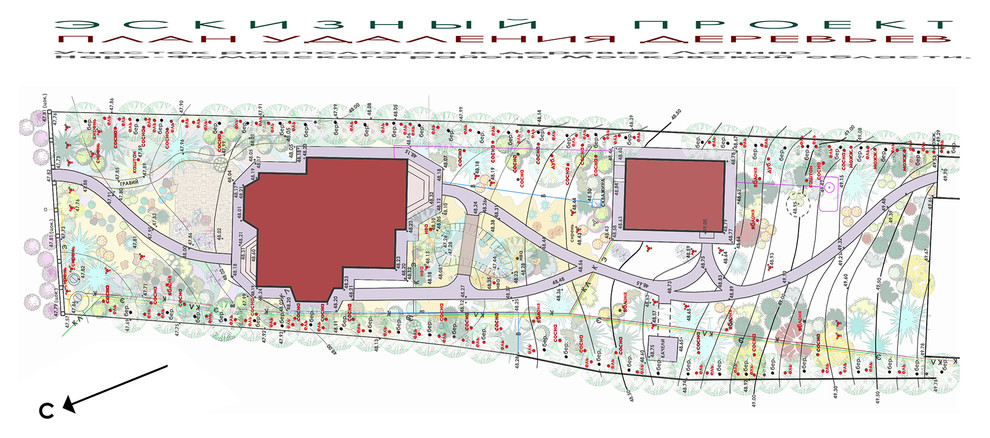 Ландшафтный проект участка - ревизия посадок деревьев и кустарников.