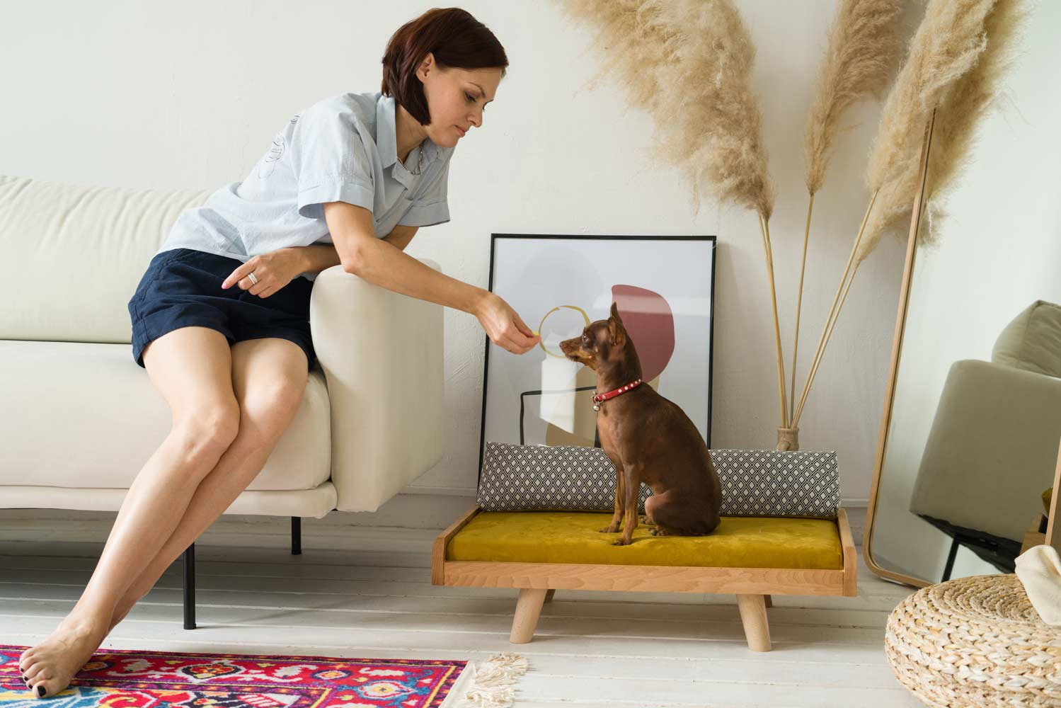 Кровать для собак и кошек OLZY