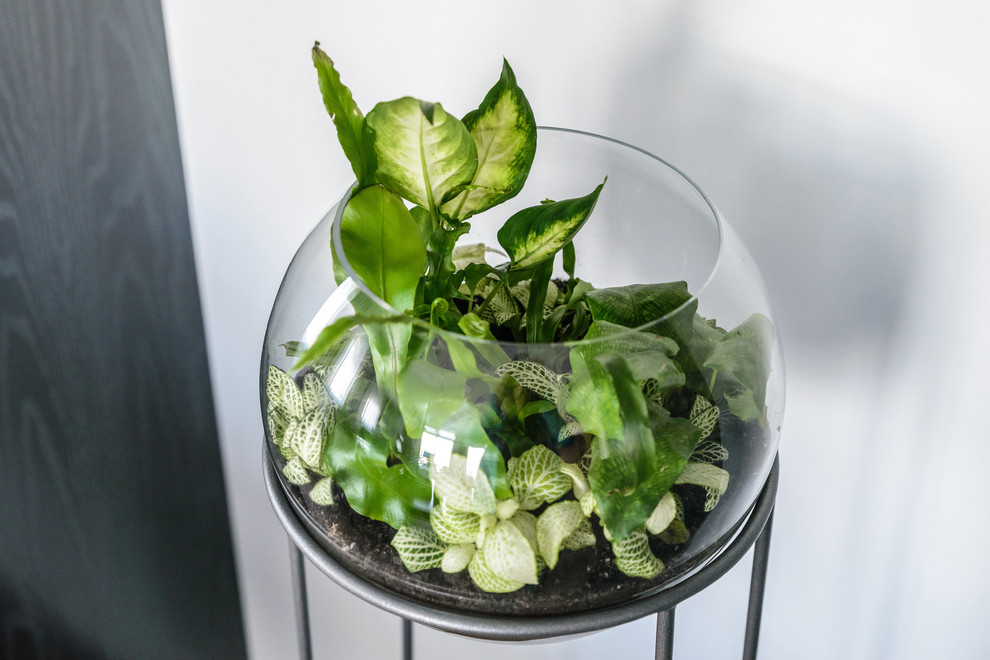 Озеленение холла помещения и кабинета руководителя