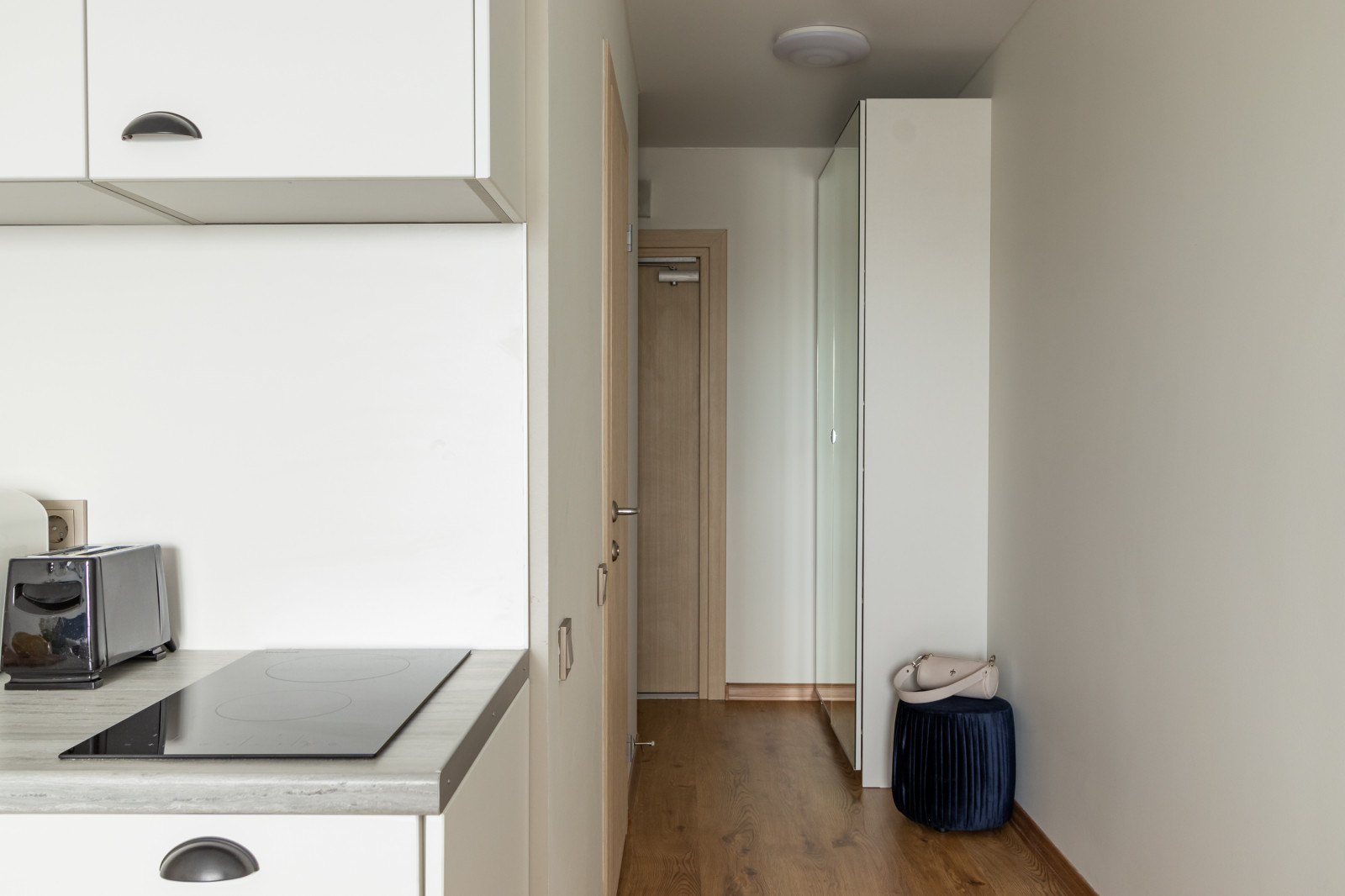 Апартаменты Путилов Авенир