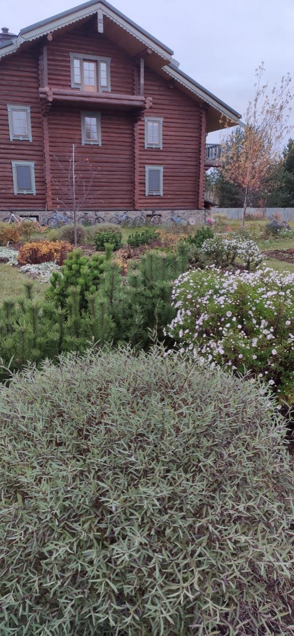 Проект "Волга"