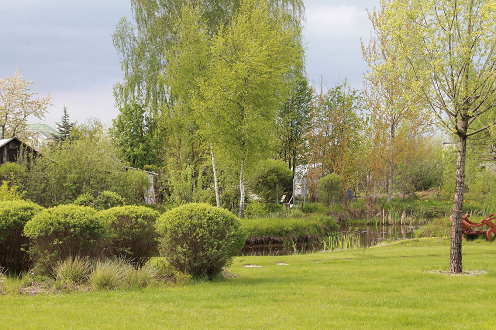 Houzz Белоруссия: Сад в тумане