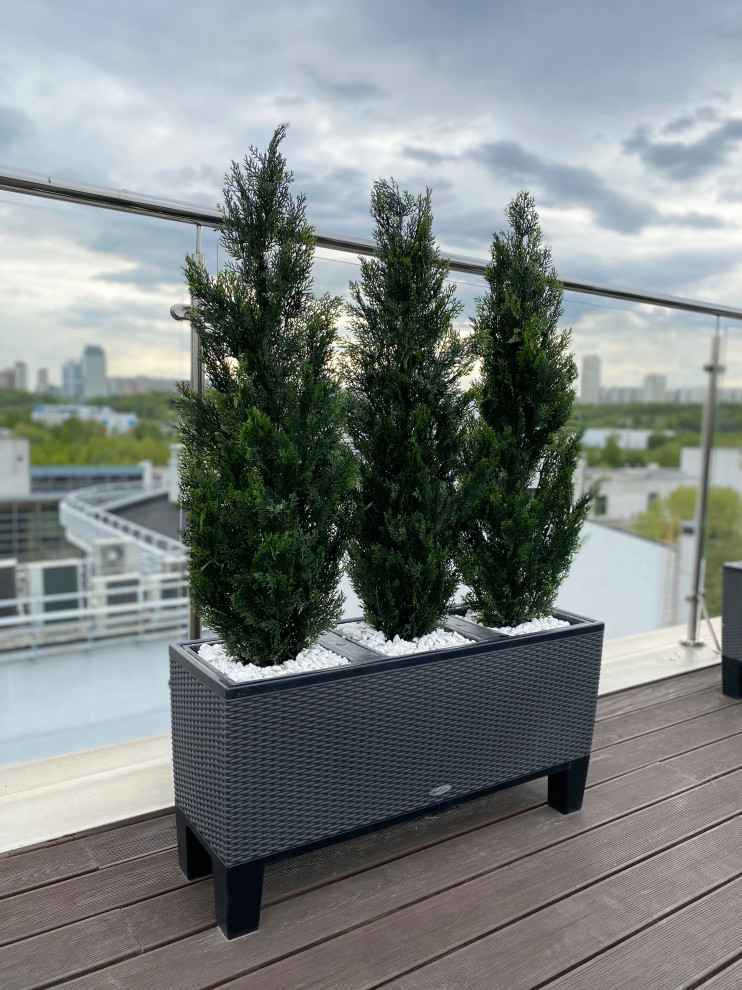 Веранда искусственное озеленение