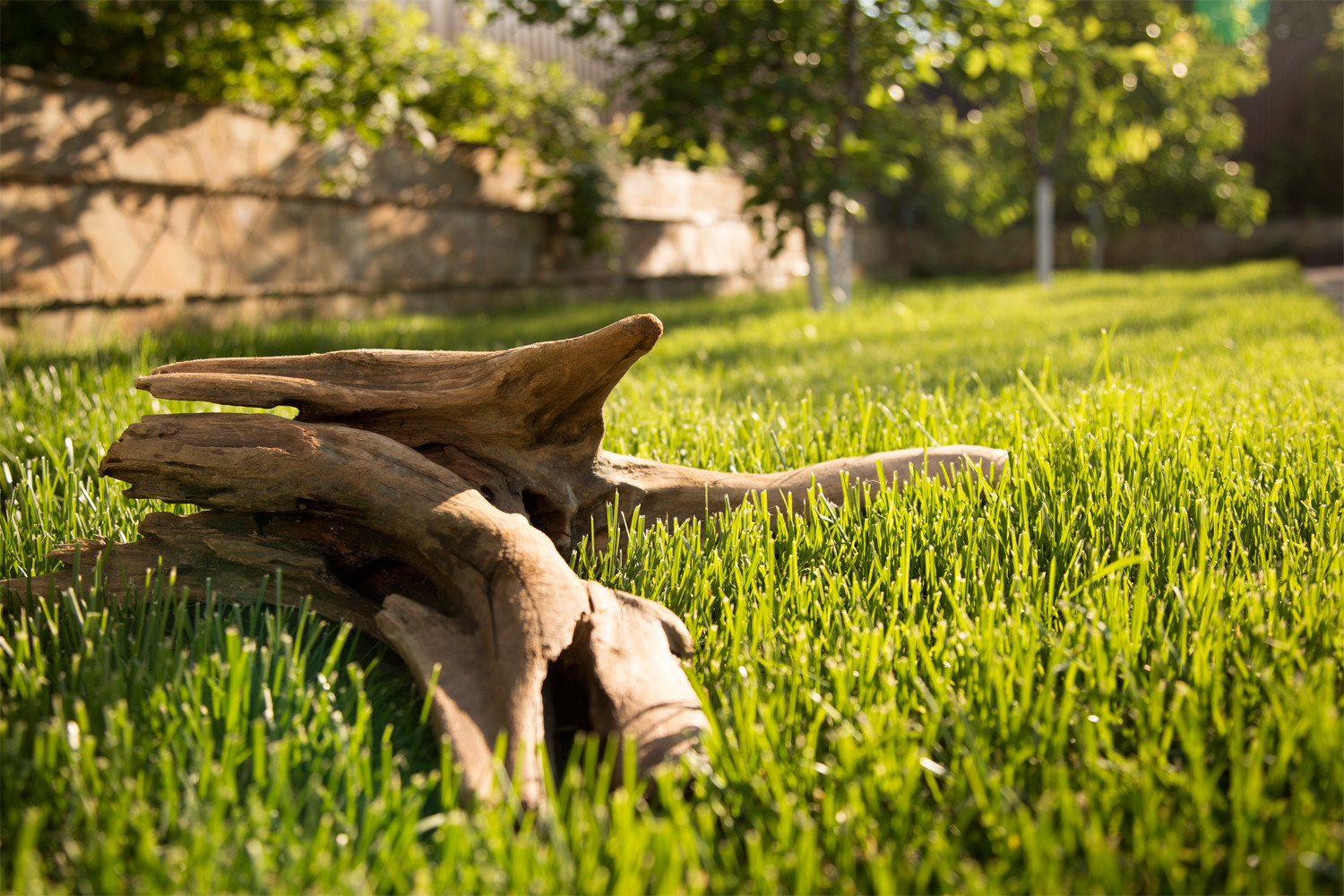 Ландшафтный дизайн Ижевск