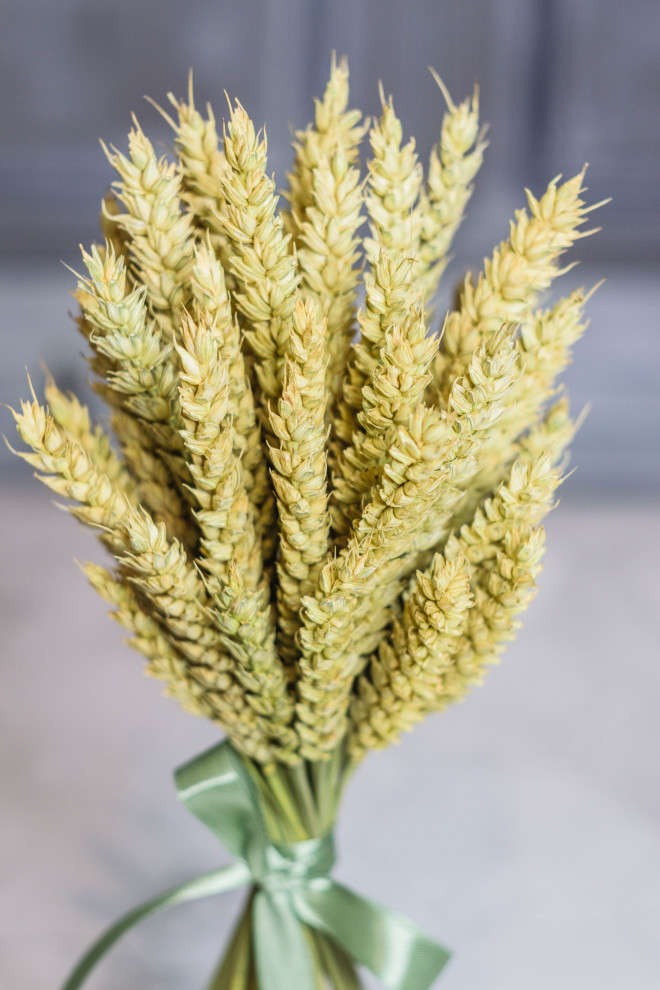 Коллекция Lago