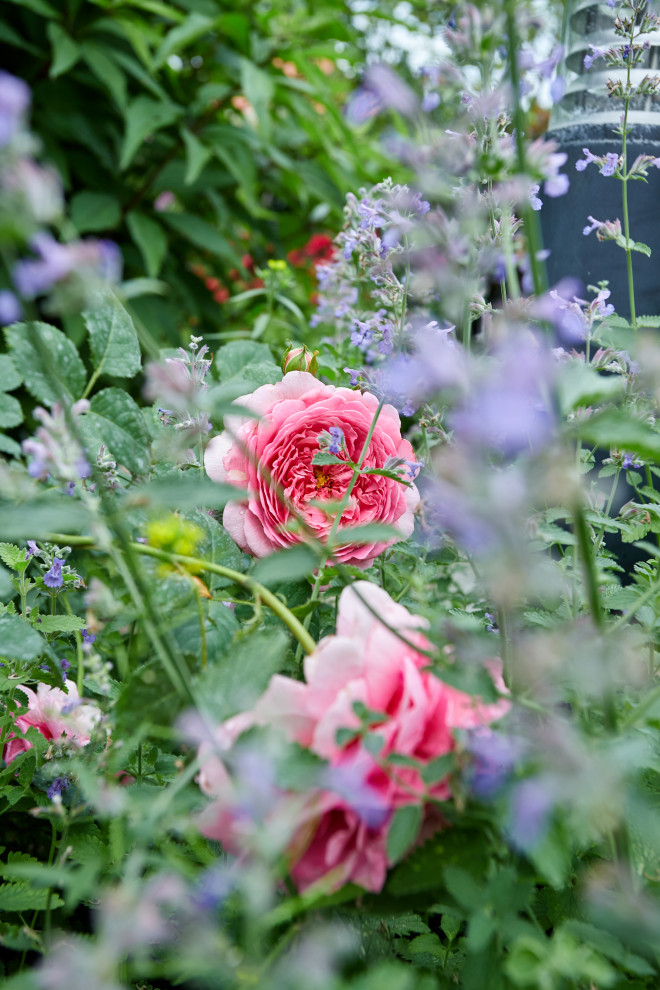 Сад свежести