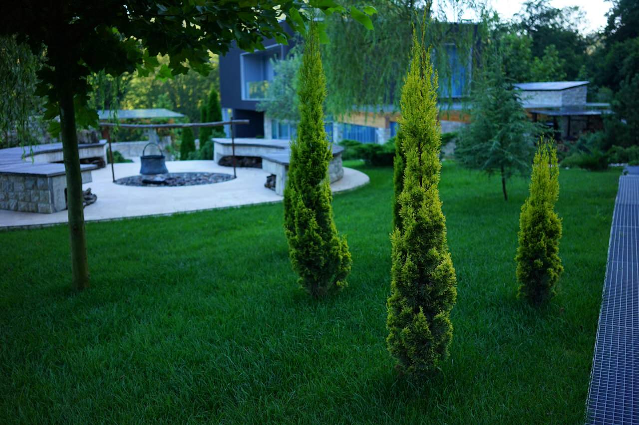 Лазурный Берег Сочи