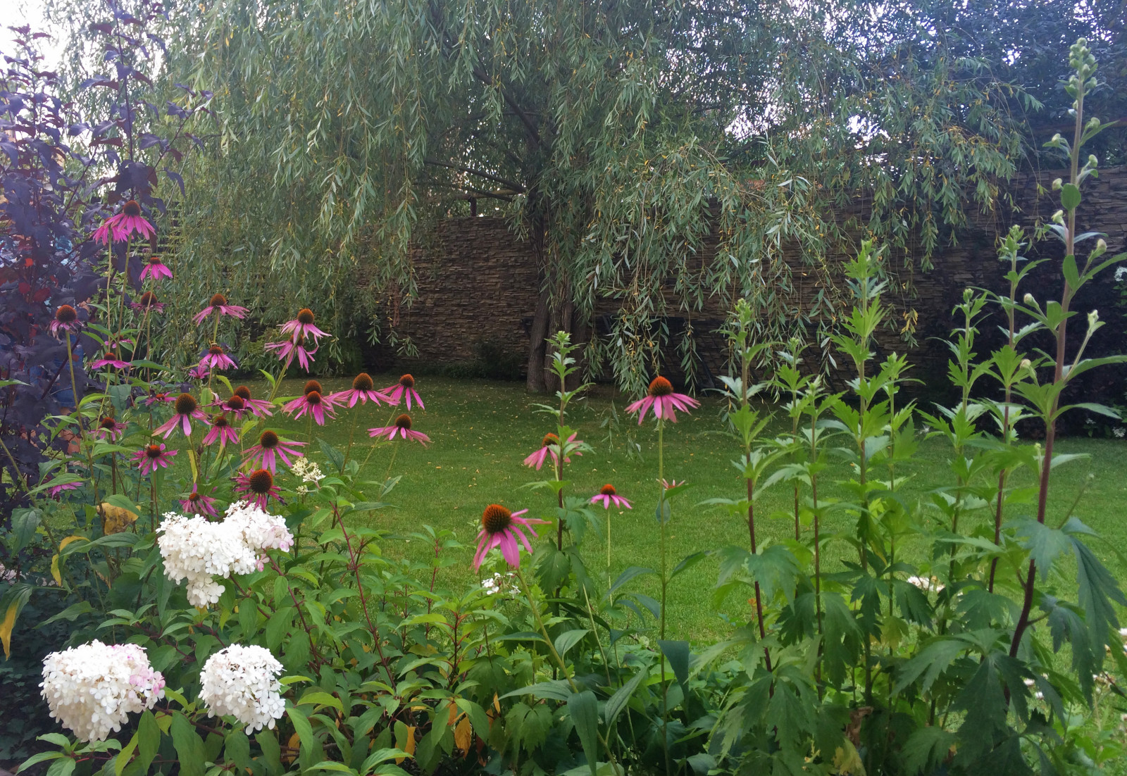 Ясная  поляна