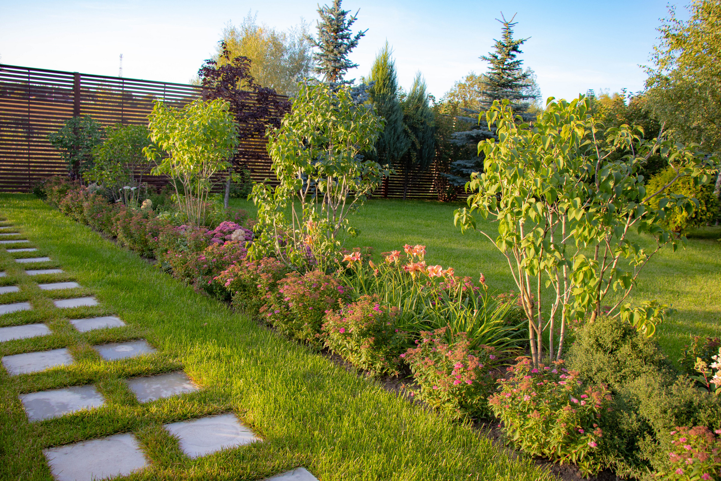 Сосновые берега