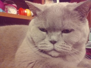 Кристина Карапыш