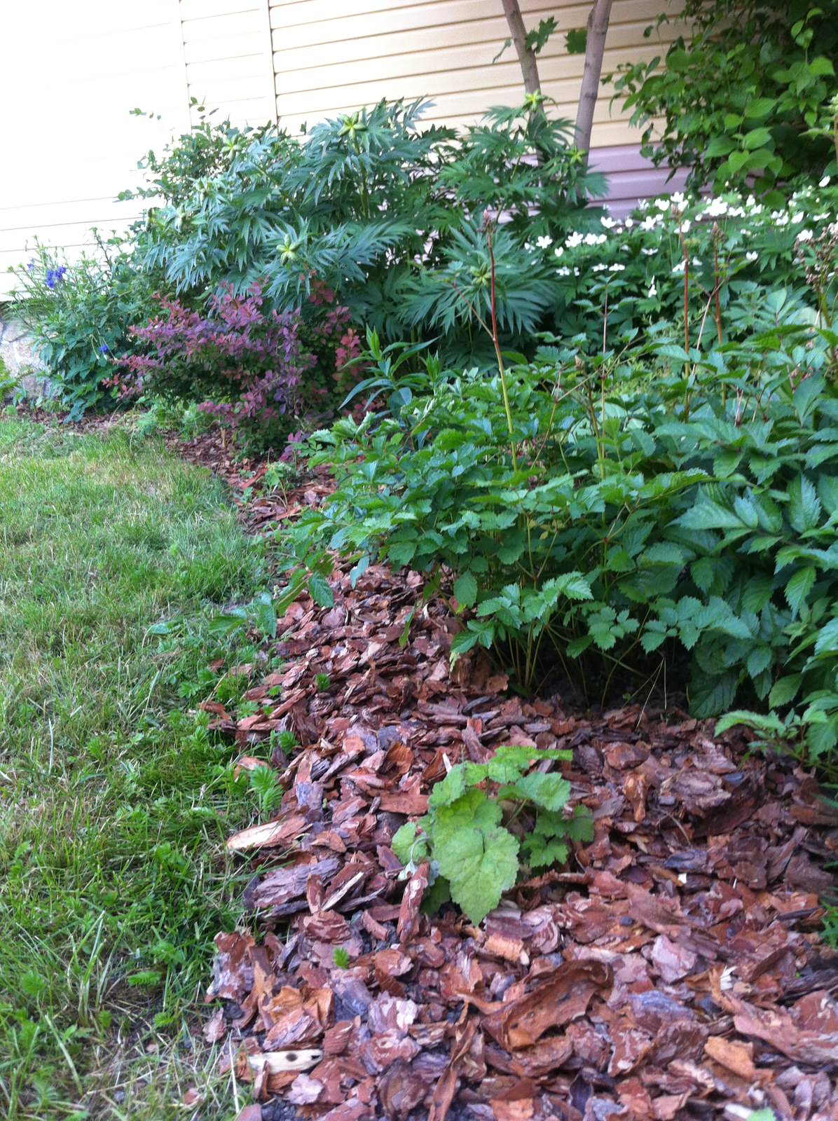 Сад на склоне. Реализация 2016 год