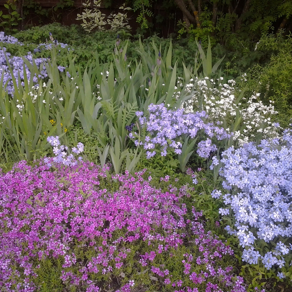 Фотографии моих работ