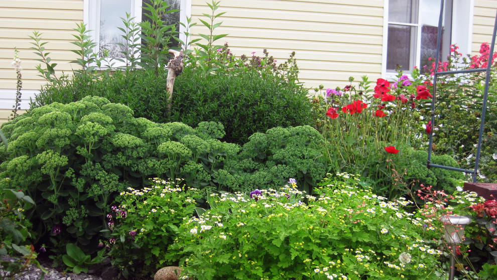 Цветник из многолетников