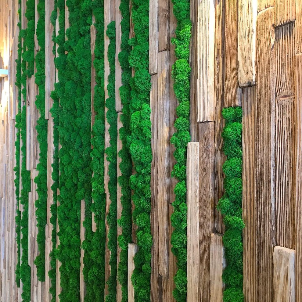 Озеленение мхом частного дома