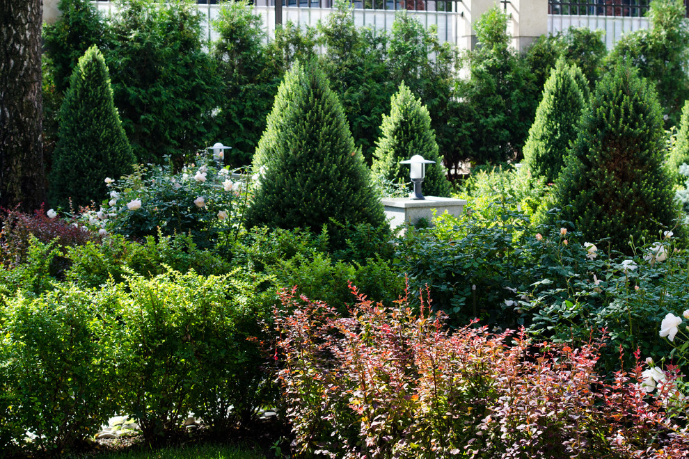 Глянцевый лес