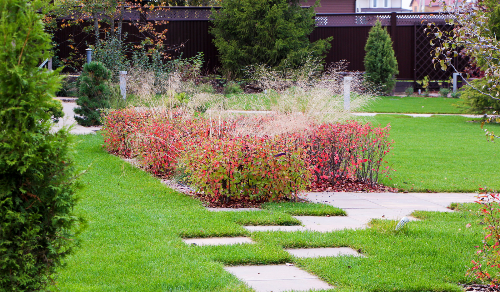 Петровское, 2018-2020 гг.