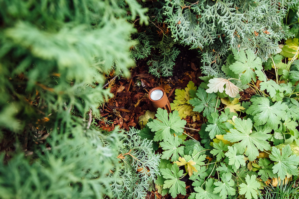 Хвойный переулок