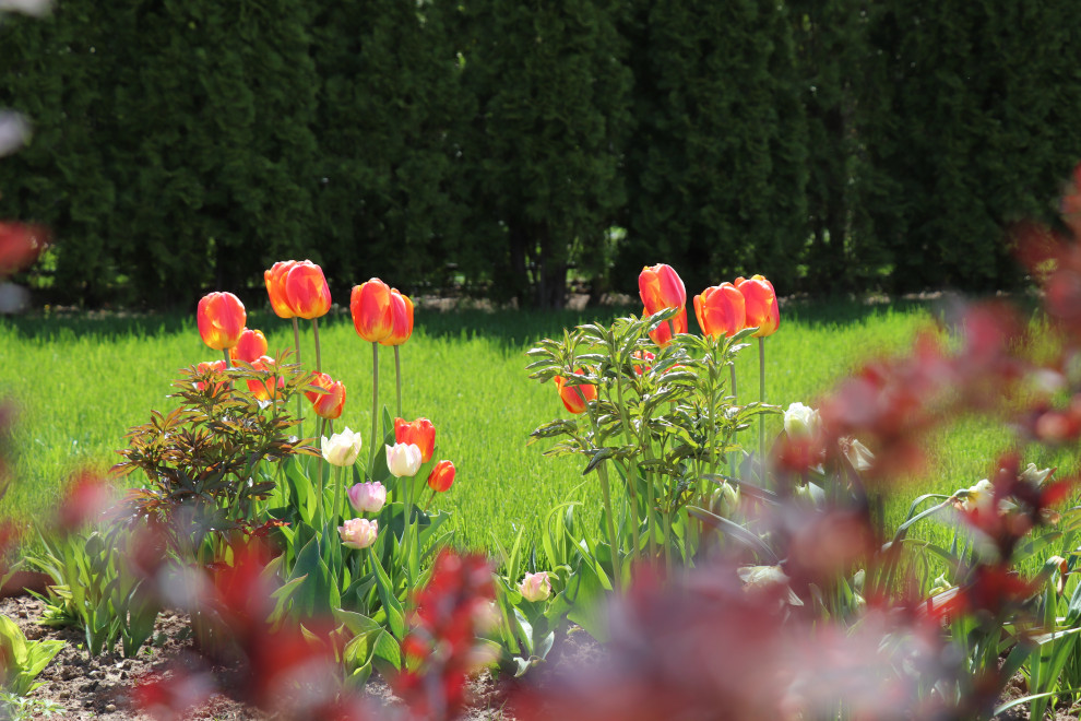 Весна 2020 Сосновые берега