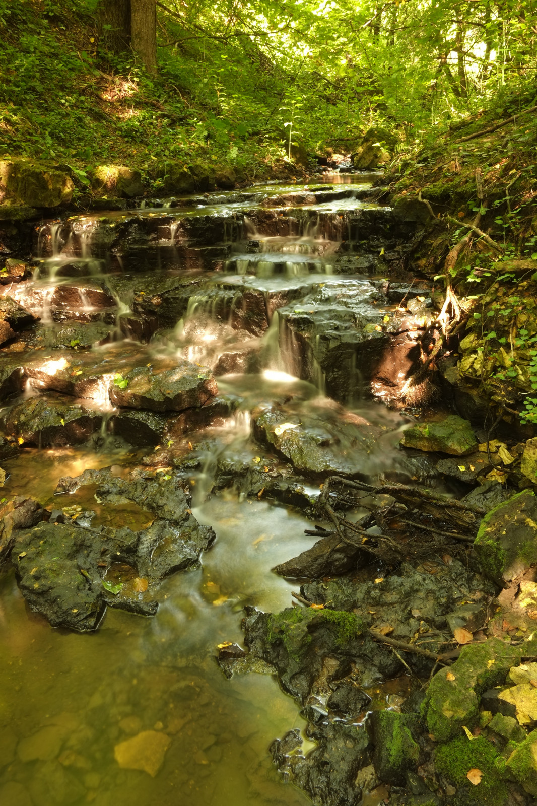 Обложка проекта: Fine Art photo