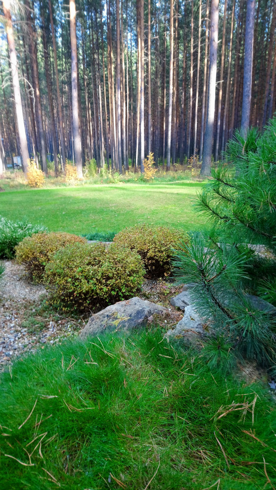 Лесной участок в сосновом бору.