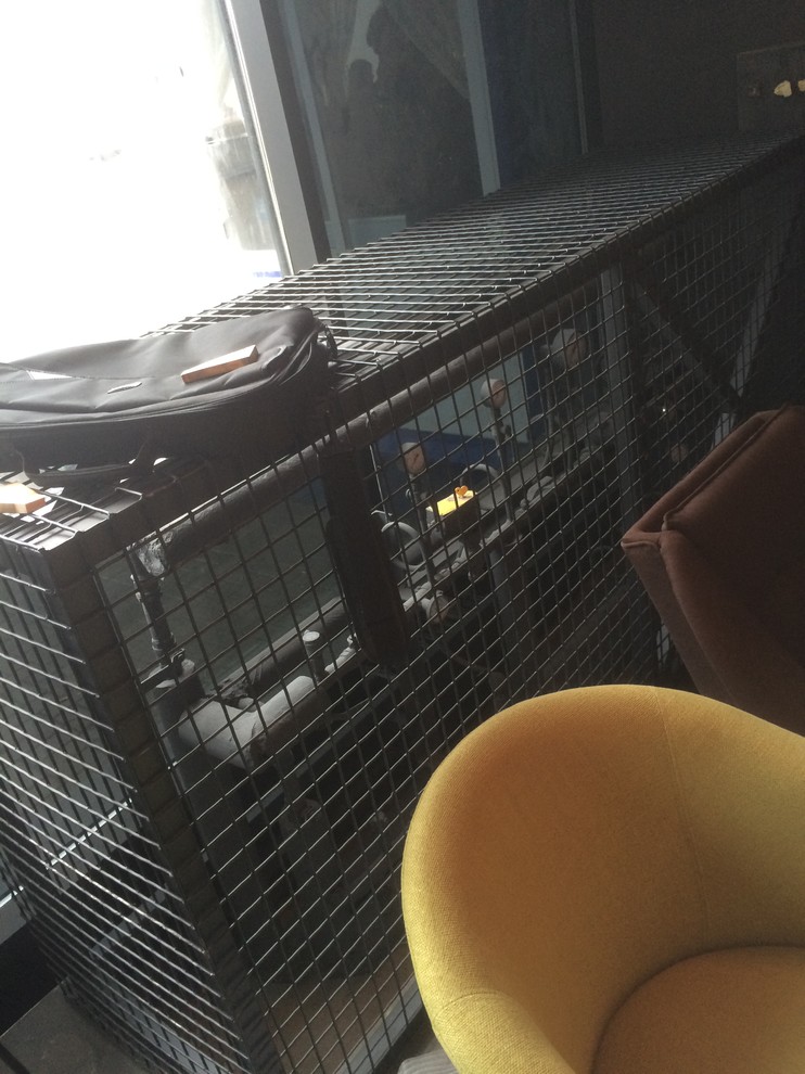 Рестобар Тише Мыши Минск