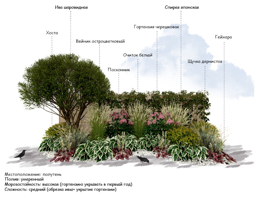 Обложка проекта: Цветники