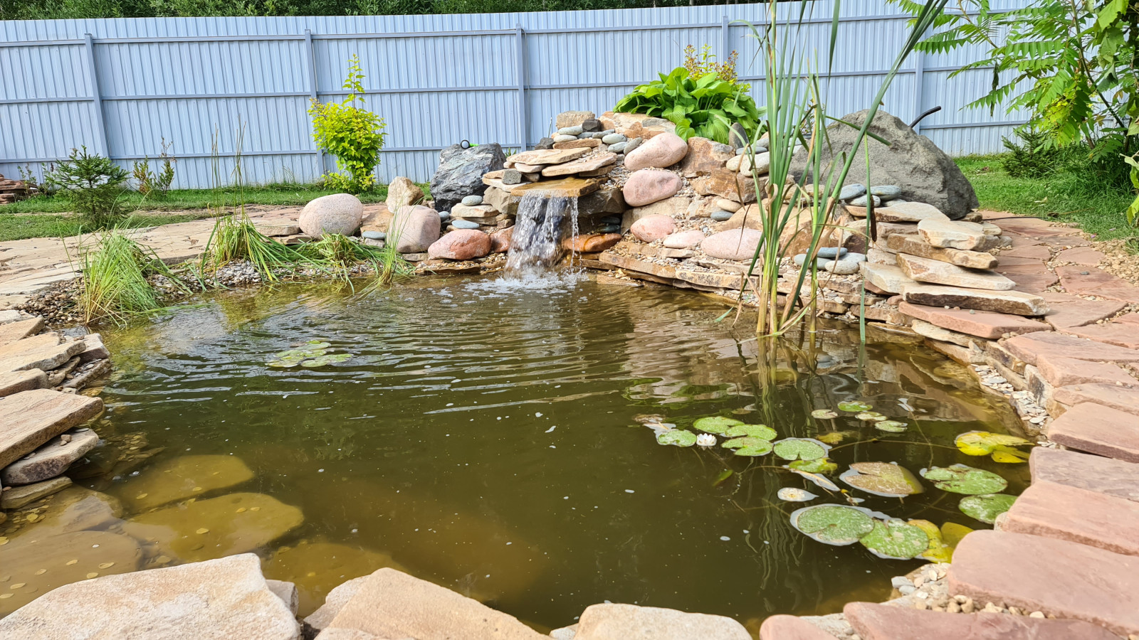 Пруд и дорожки