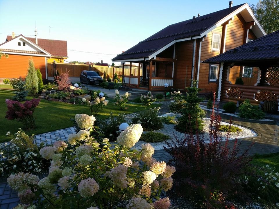 сад, который рисовая я