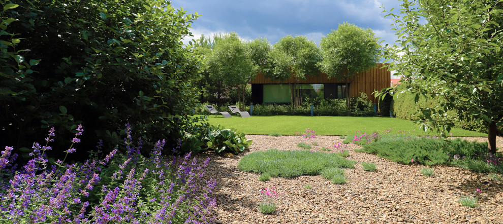 сад в городе