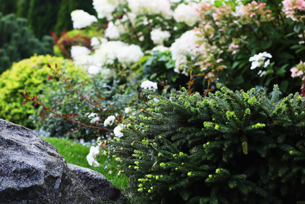 КП Аквавилла 0.25 га