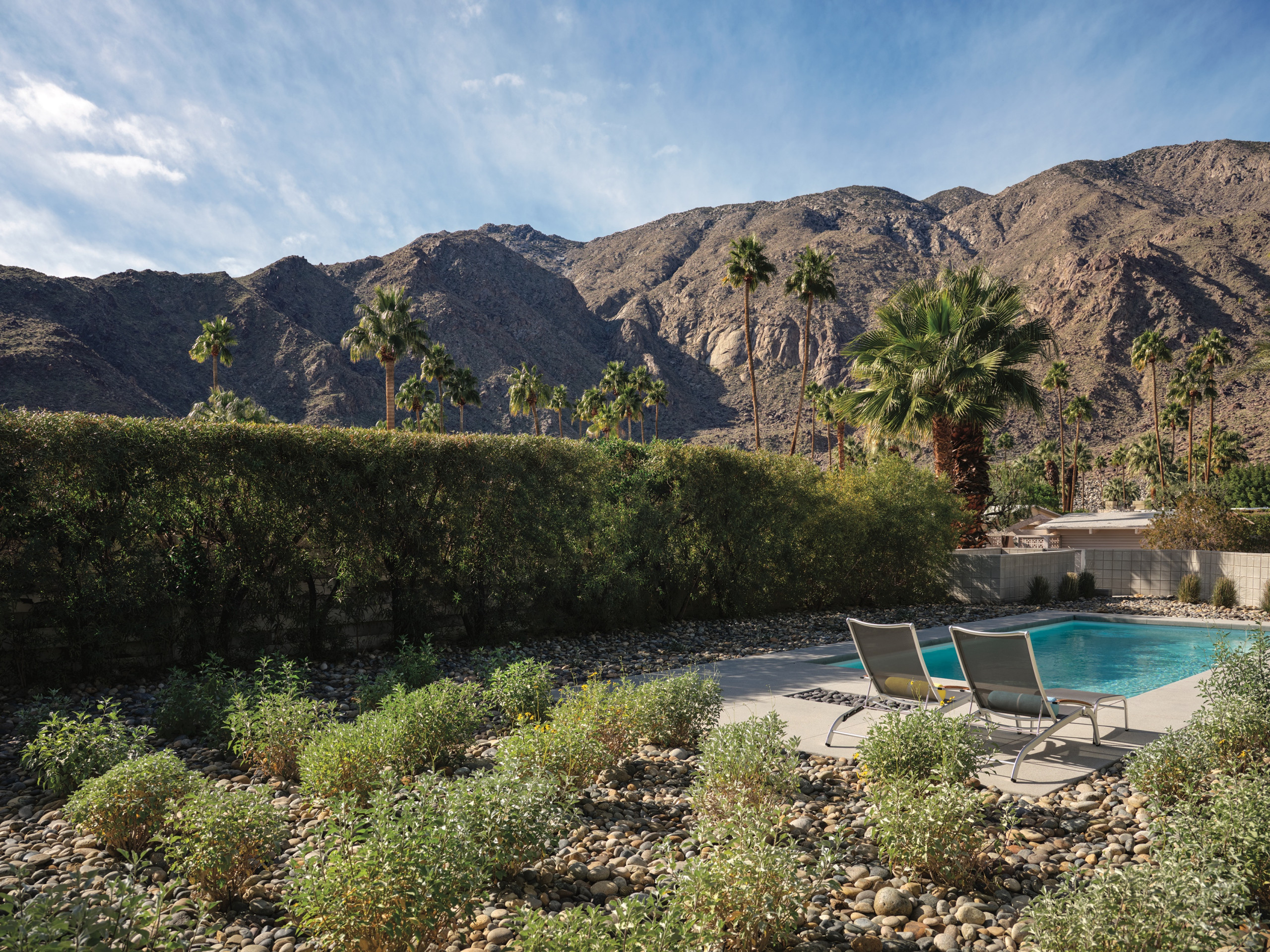 6 великолепных садов фестиваля Palm Springs Modernism Week 2022