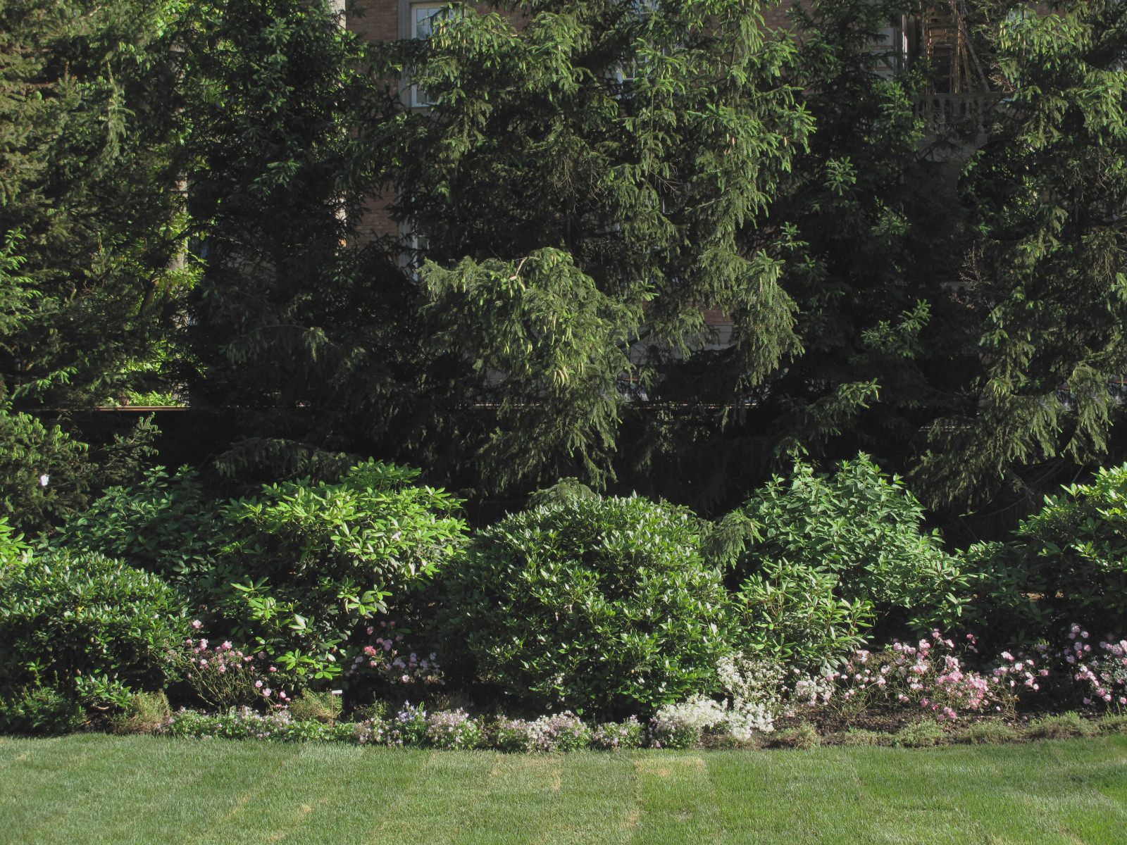 Лесной участок. Сады Майендорфа 2008 г