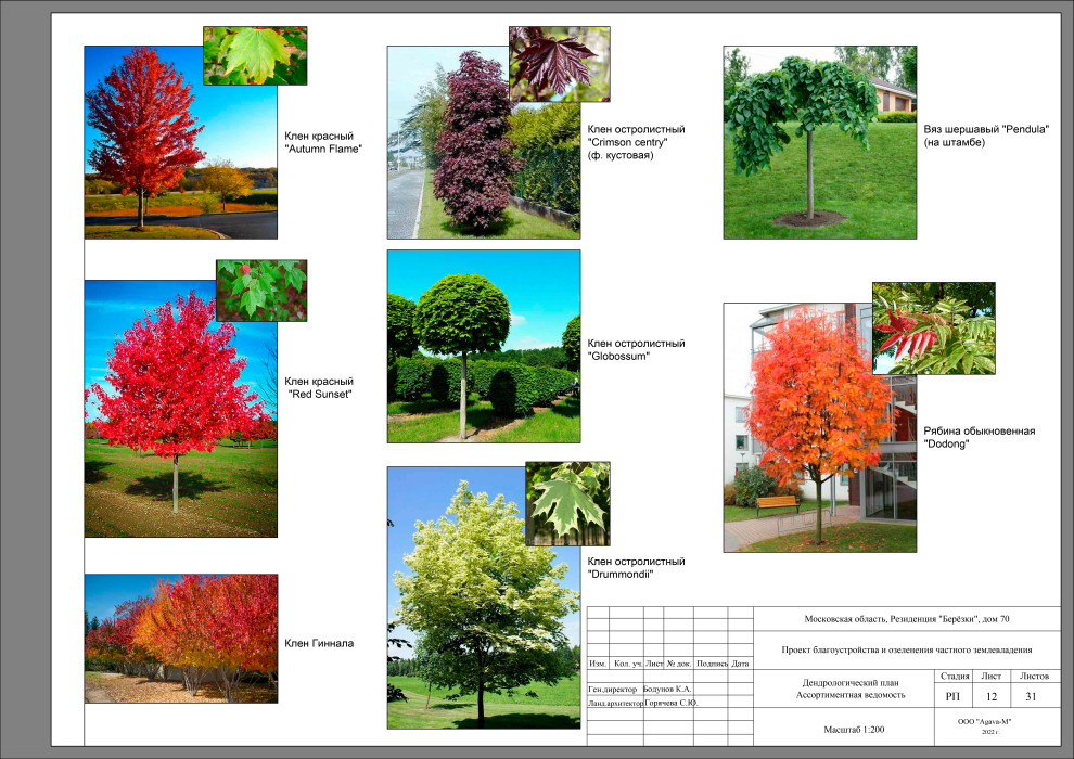 Резиденция Берёзки.