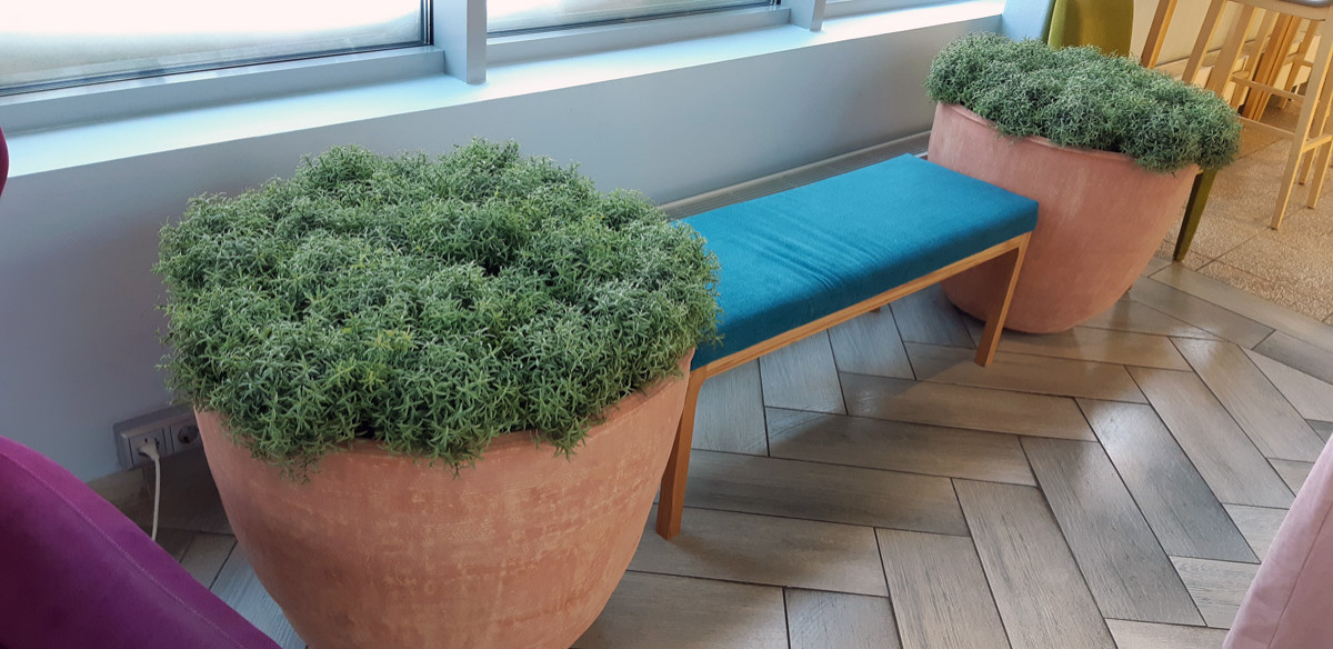 Горшки, амфора и кашпо для ресторана Olivo