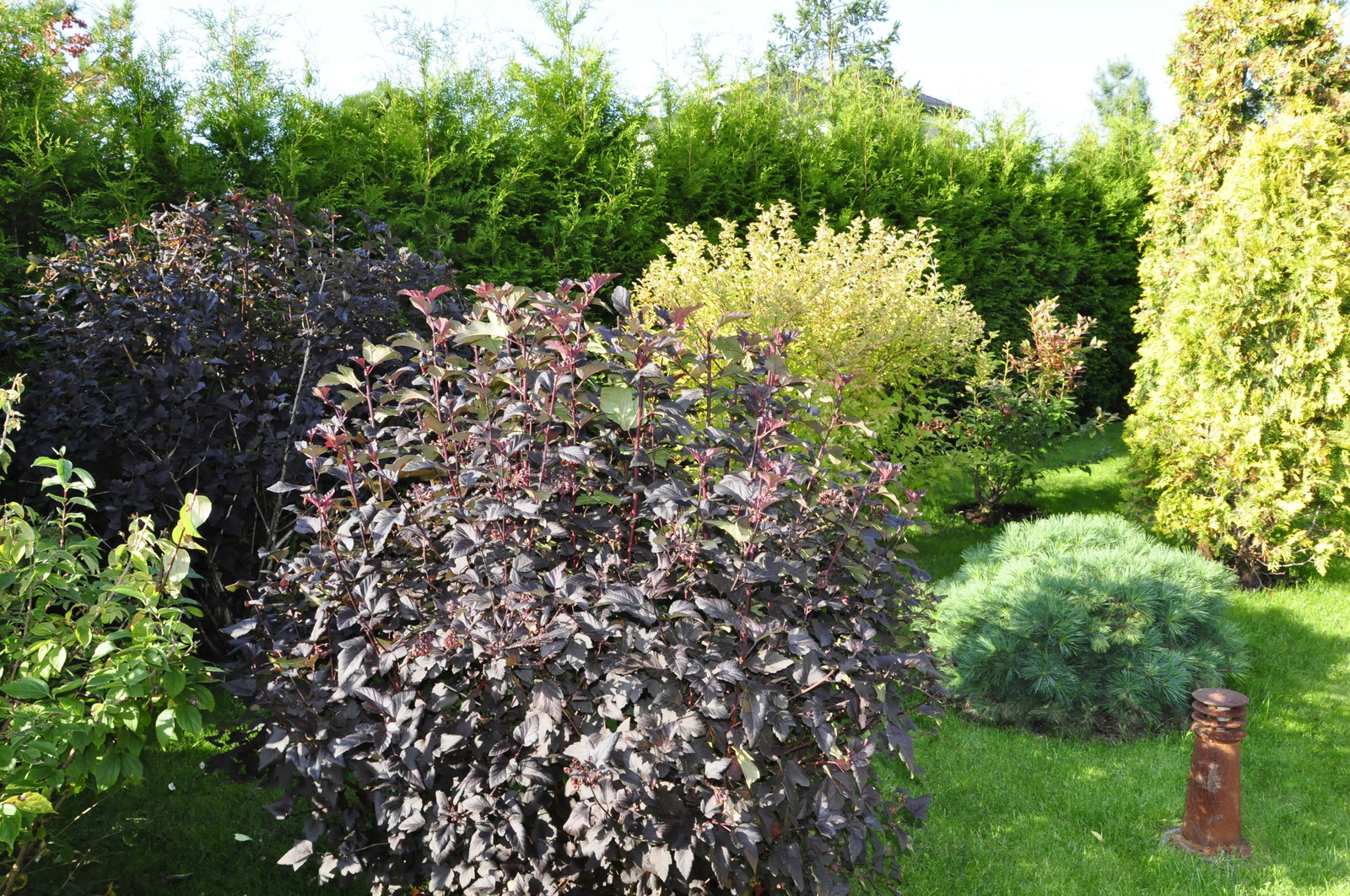 кп "Бенелюкс" - Уход за садом - 100% качество