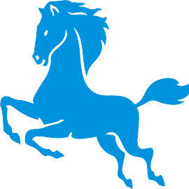 Роман Толстихин