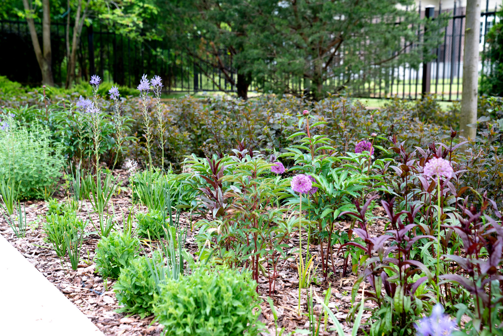 Английская неоклассика в Парквилл. 2019 г.