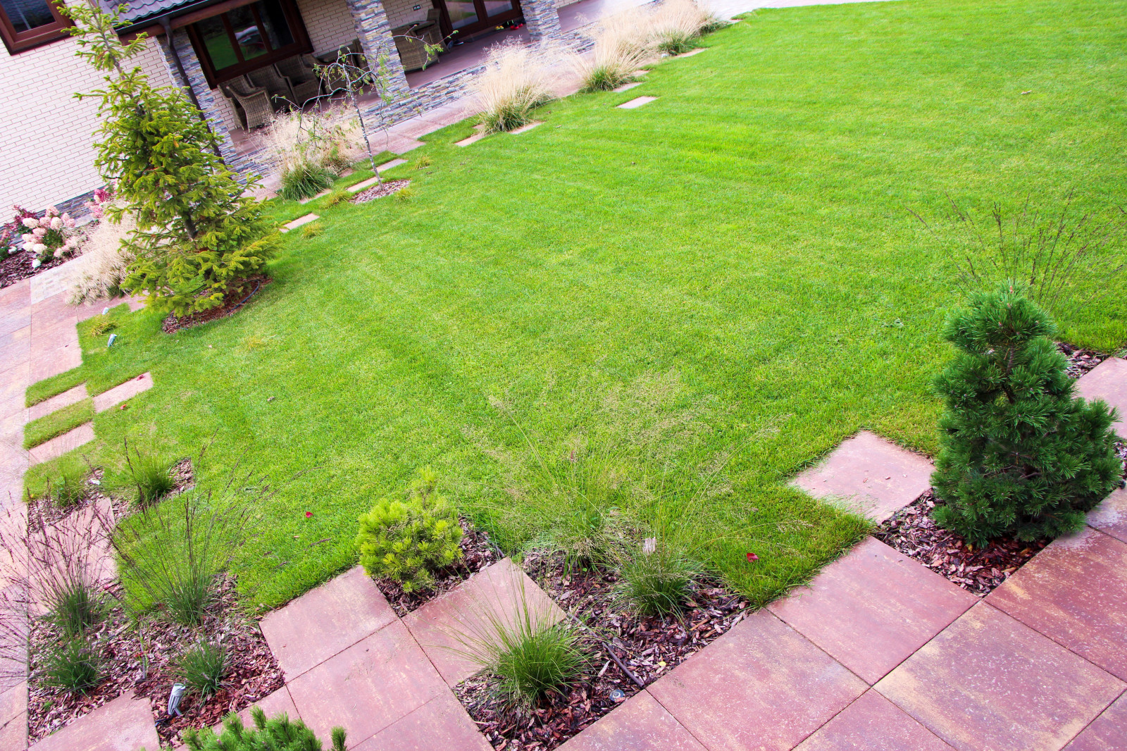 Петровское, 2018-2020 гг.