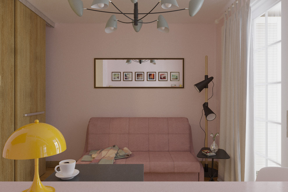 Студия с гардеробной для молодой девушки