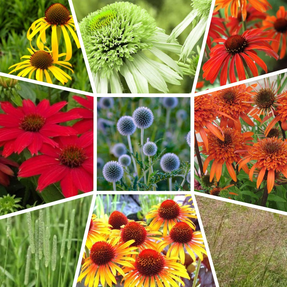 "Крыша русского дома". Проект зоны для детских игр