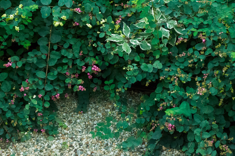 Малоуходный сад