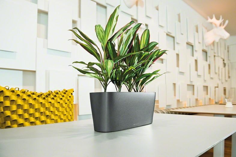 Шик на небольшой площади