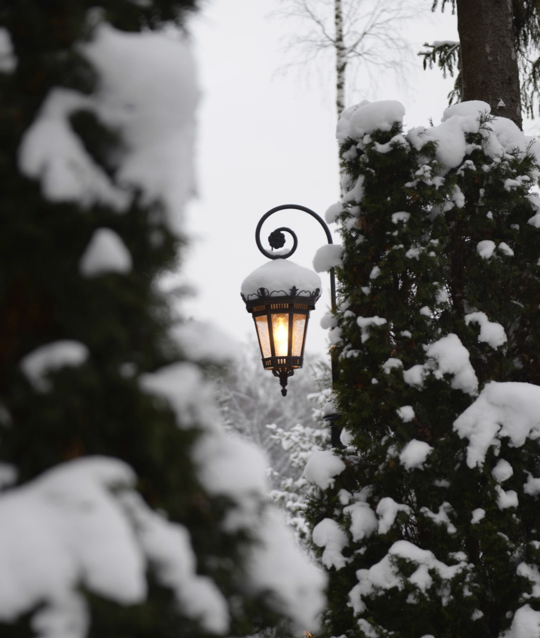 Зимняя сказка в Новогорске 2023