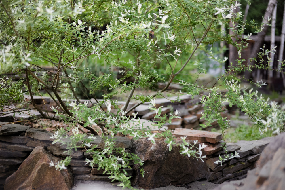 Лесной пейзаж