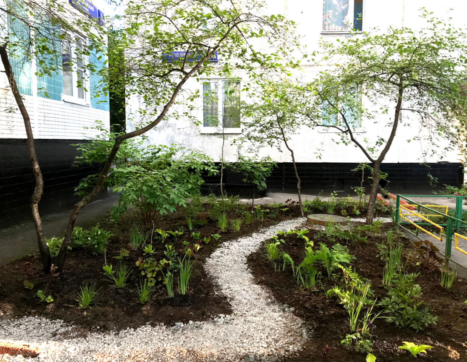 Обложка проекта: Придомовая территория в Алтуфьево