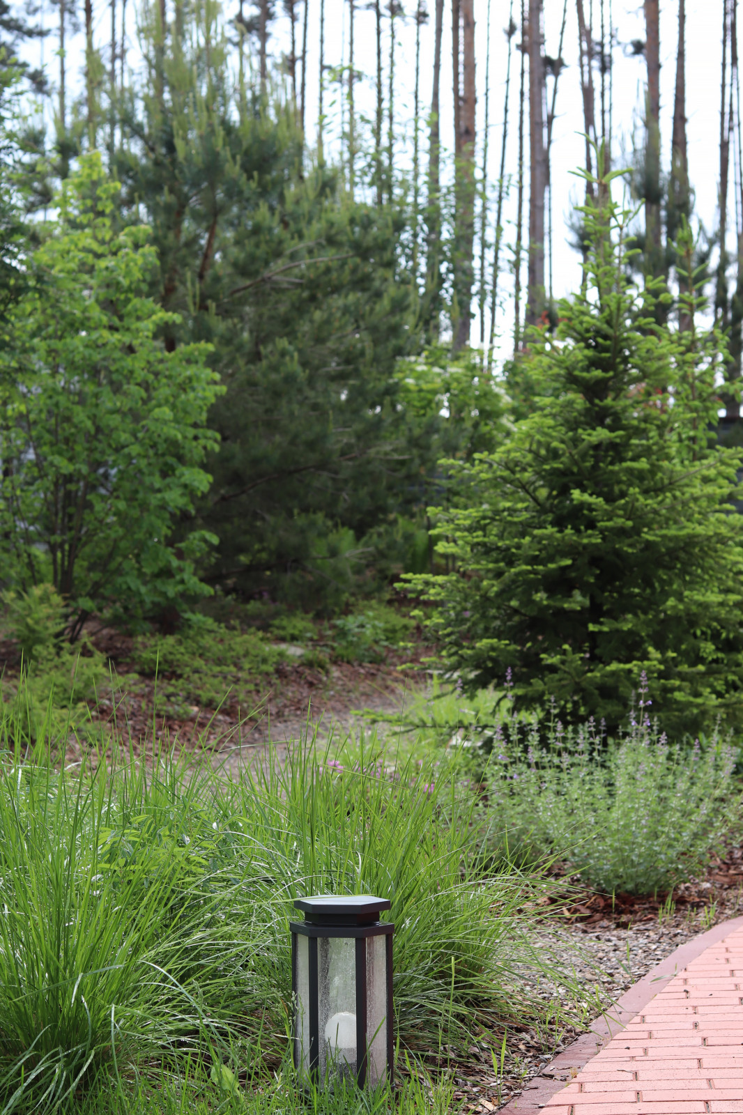 Русский лес