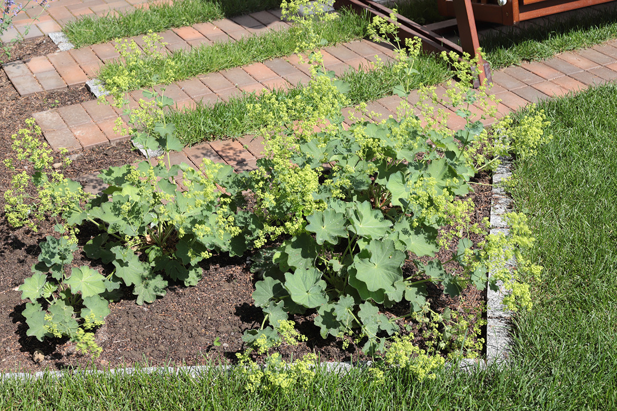 Солнечный берег